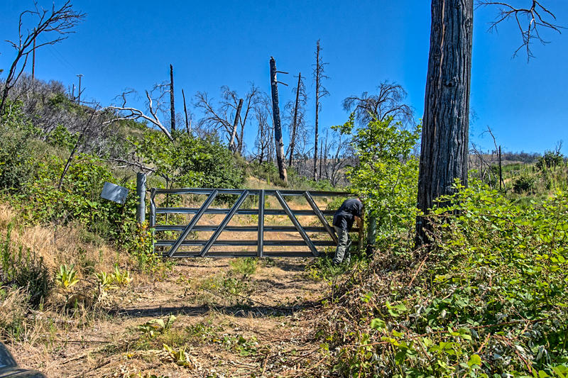 Rock Creek Road Manton, CA 96003 - Photo 29 of 63 manton-215