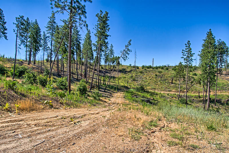 Rock Creek Road Manton, CA 96003 - Photo 31 of 63 manton-217