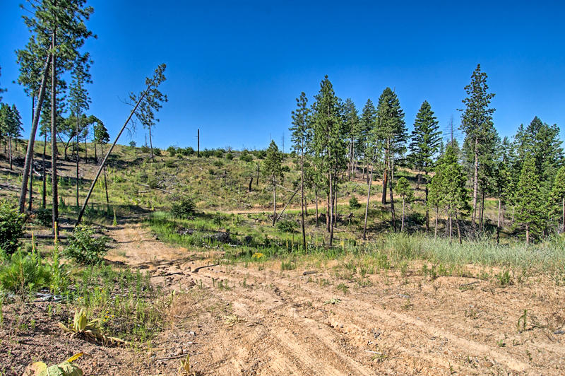 Rock Creek Road Manton, CA 96003 - Photo 33 of 63 manton-219