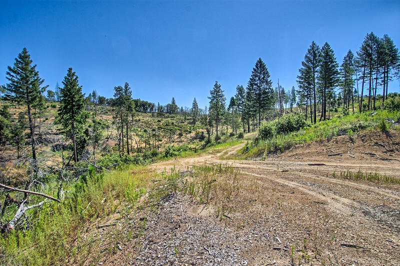 Rock Creek Road Manton, CA 96003 - Photo 34 of 63 manton-300