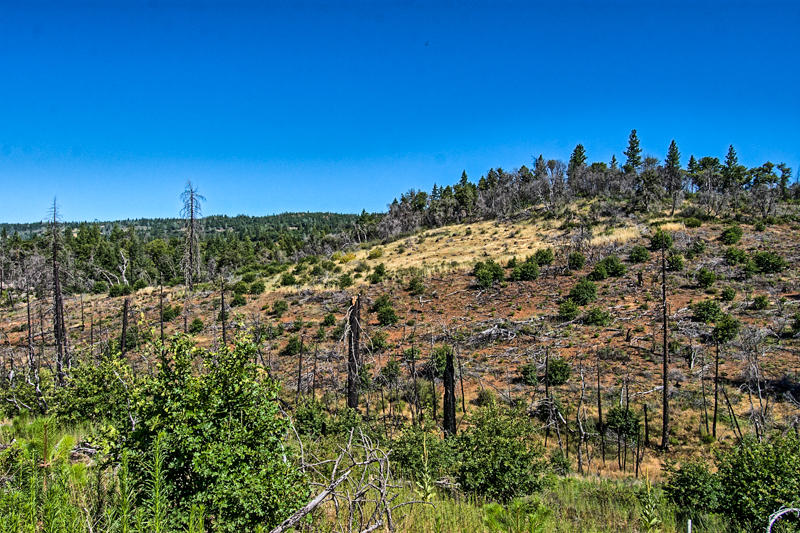 Rock Creek Road Manton, CA 96003 - Photo 35 of 63 manton-301
