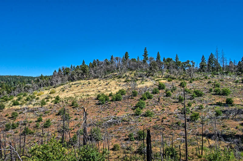 Rock Creek Road Manton, CA 96003 - Photo 36 of 63 manton-302