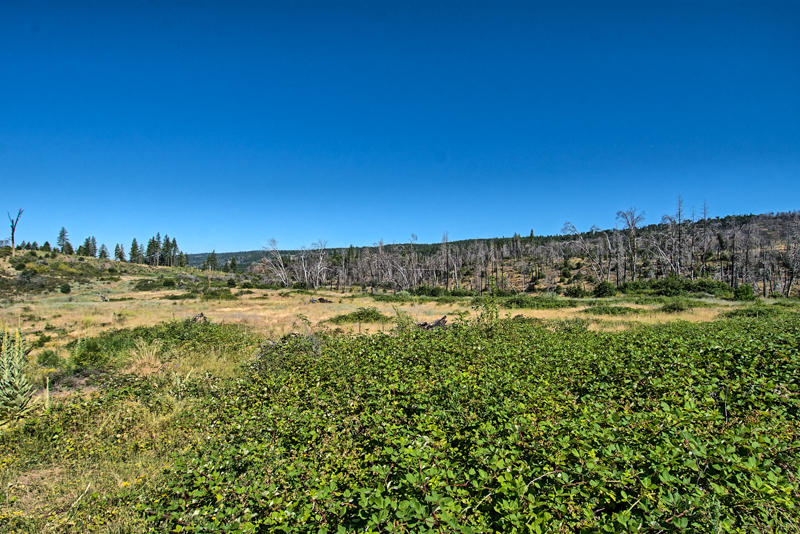 Rock Creek Road Manton, CA 96003 - Photo 4 of 63 manton-103