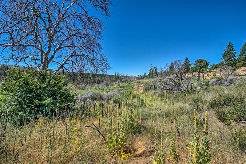 Rock Creek Road Manton, CA 96003 - Photo 41 of 63 manton-308