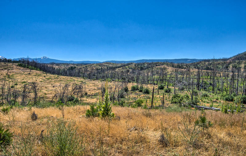 Rock Creek Road Manton, CA 96003 - Photo 45 of 63 manton-313