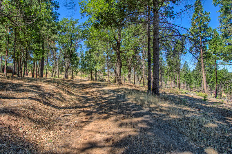 Rock Creek Road Manton, CA 96003 - Photo 54 of 63 manton-402