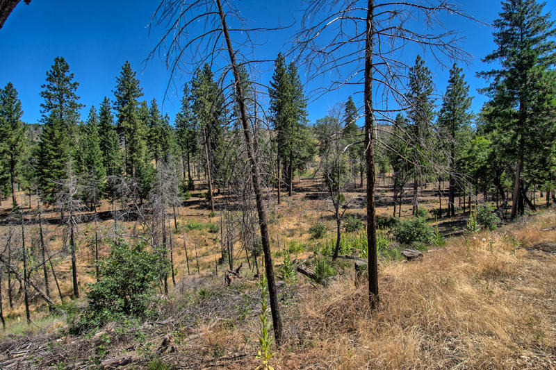 Rock Creek Road Manton, CA 96003 - Photo 55 of 63 manton-403
