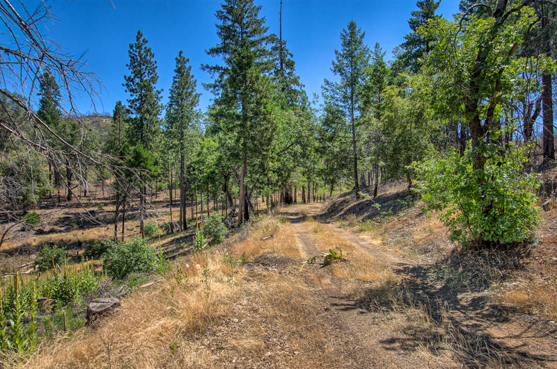Rock Creek Road Manton, CA 96003 - Photo 56 of 63 manton-404