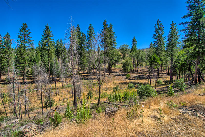 Rock Creek Road Manton, CA 96003 - Photo 57 of 63 manton-405