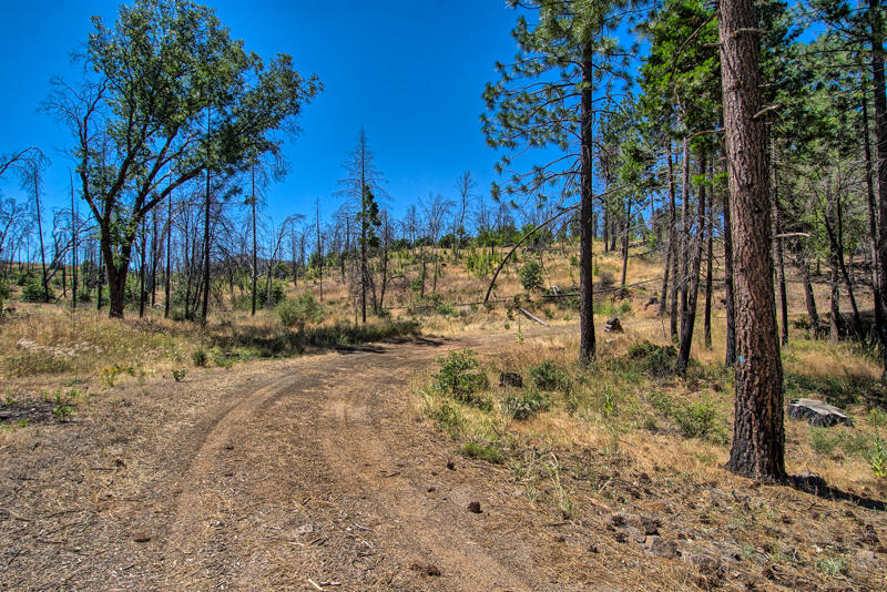 Rock Creek Road Manton, CA 96003 - Photo 58 of 63 manton-406