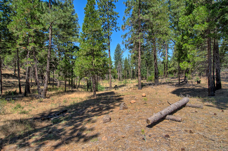 Rock Creek Road Manton, CA 96003 - Photo 59 of 63 manton-407