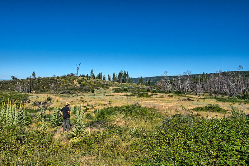Rock Creek Road Manton, CA 96003 - Photo 6 of 63 manton-105