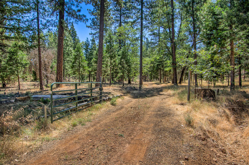 Rock Creek Road Manton, CA 96003 - Photo 62 of 63 manton-410