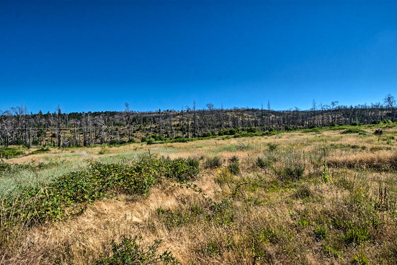 Rock Creek Road Manton, CA 96003 - Photo 9 of 63 manton-108