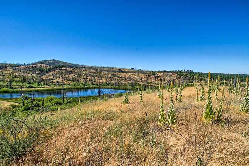 Rock Creek Road Manton, CA 96003 - Photo 10 of 63 manton-110