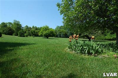 6347 Durham Road Riegelsville, PA 18077 - Photo 3 of 10 a view of a field with a tree in the background