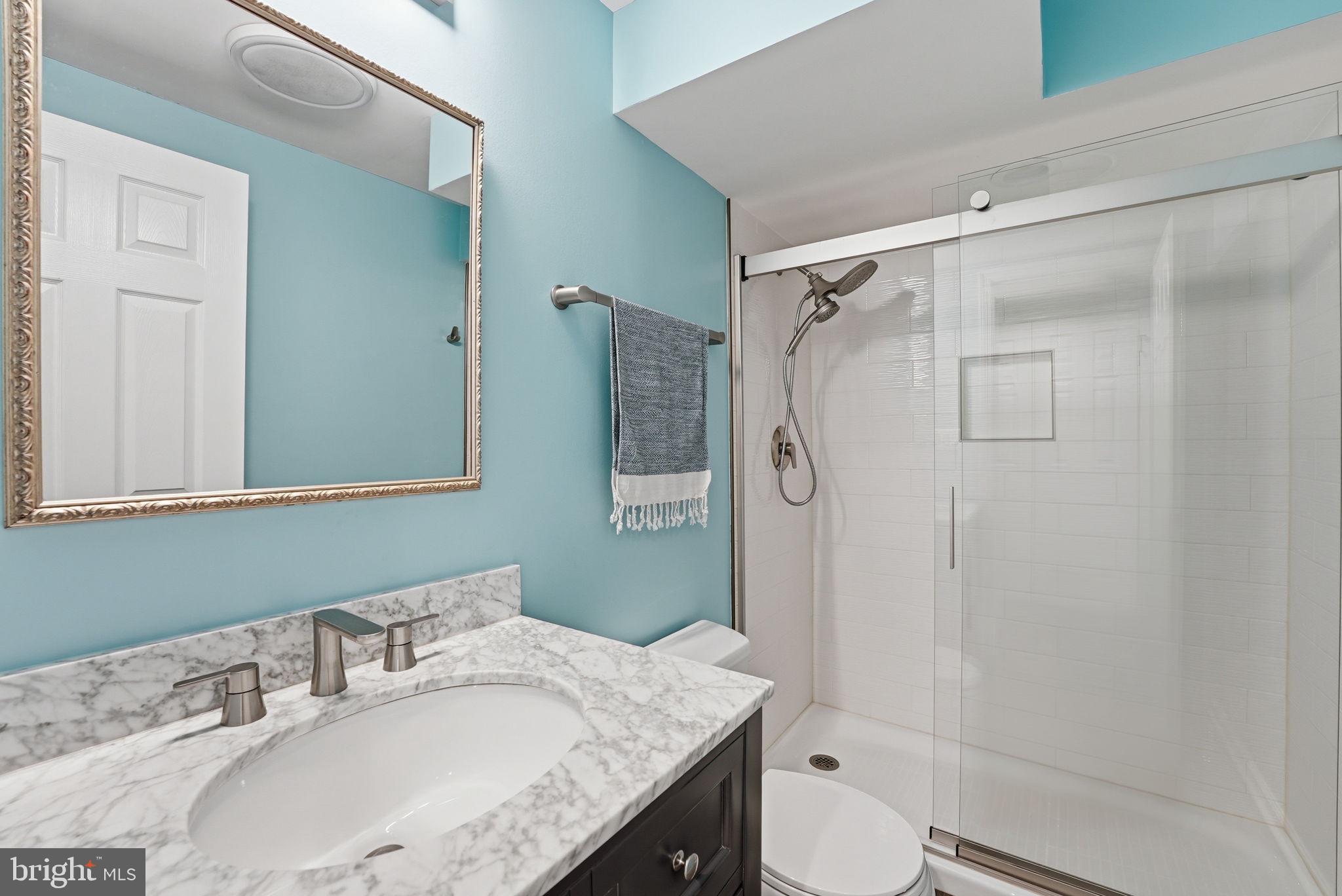 16905 Briardale Road Derwood, MD 20855 - Photo 31 of 45 Full Bathroom