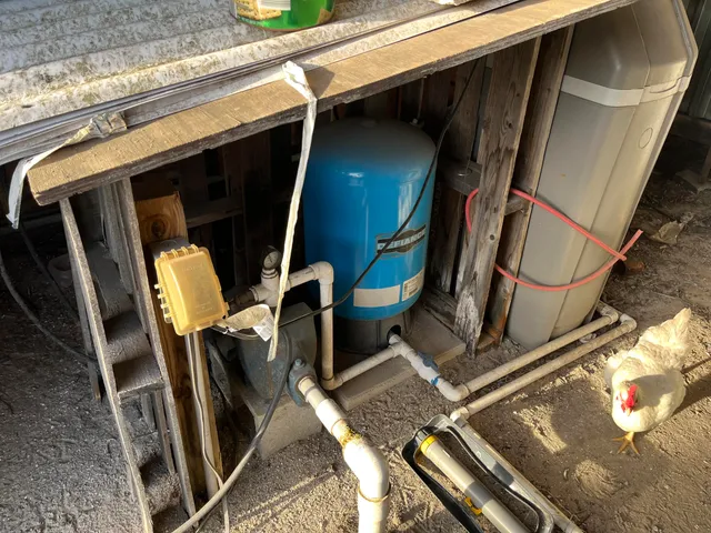 a view of a dry yard with trees