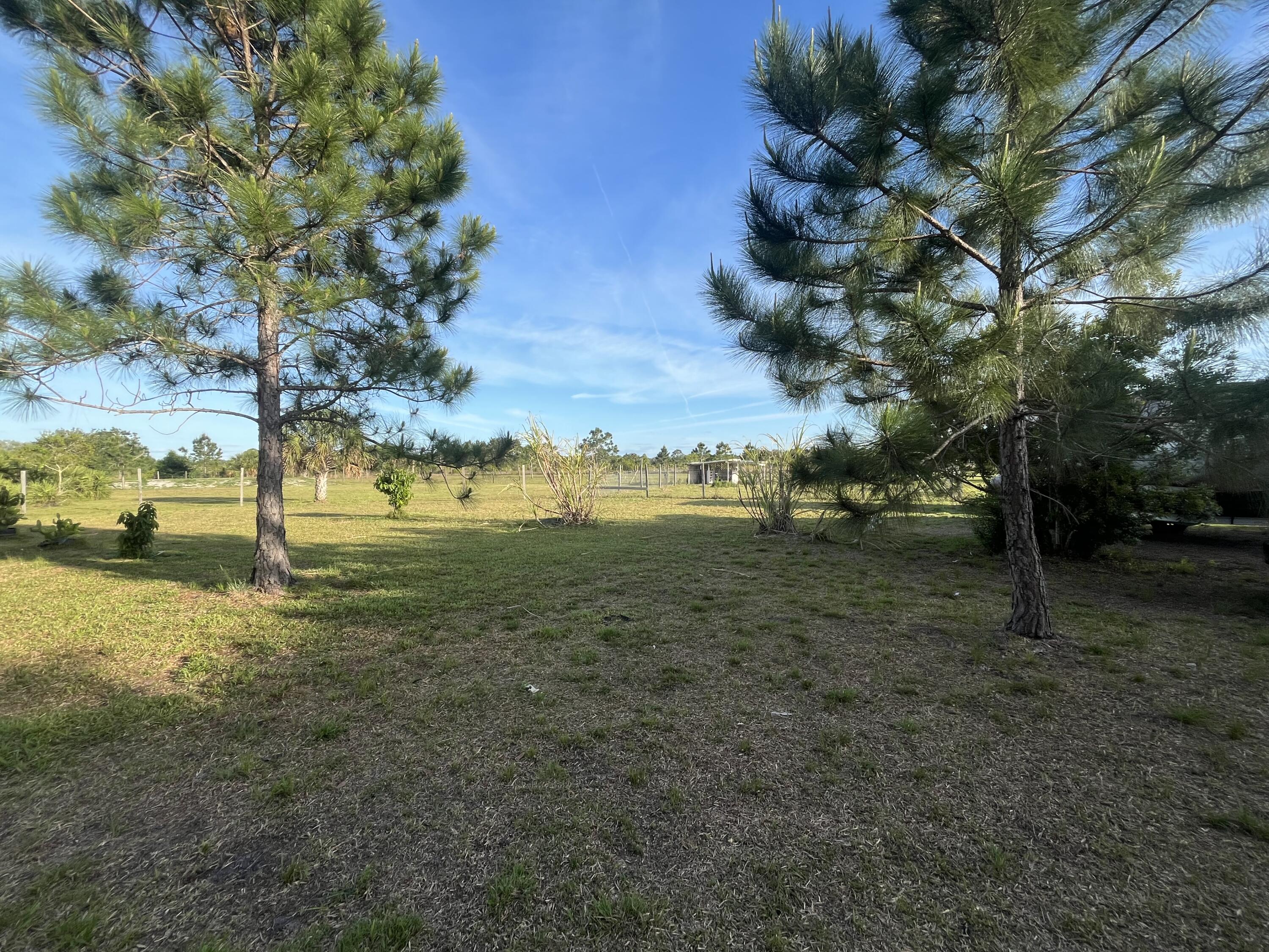 15628 Northwest 310th Street Okeechobee, FL 34972 - Photo 37 of 38 a view of a yard with a house