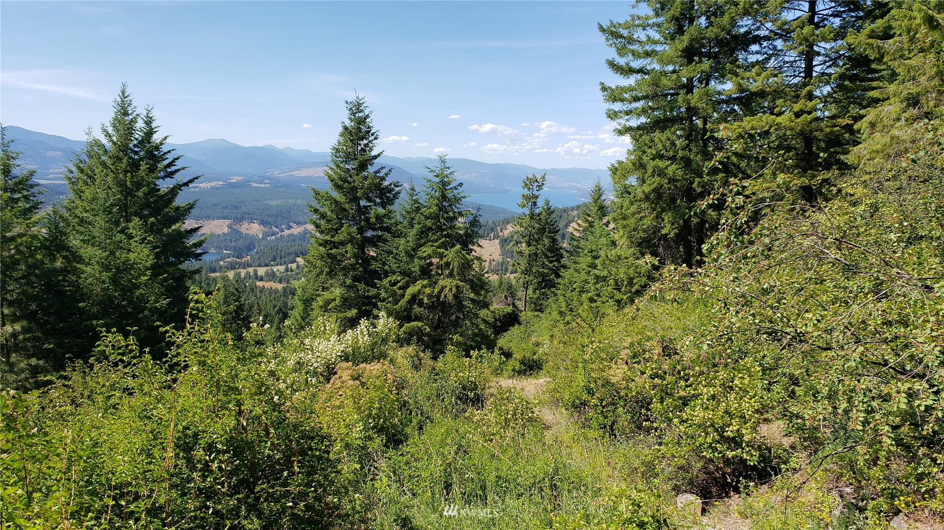 4000 Bissell Road Hunters, WA 99137 - Photo 3 of 33 a view of a city