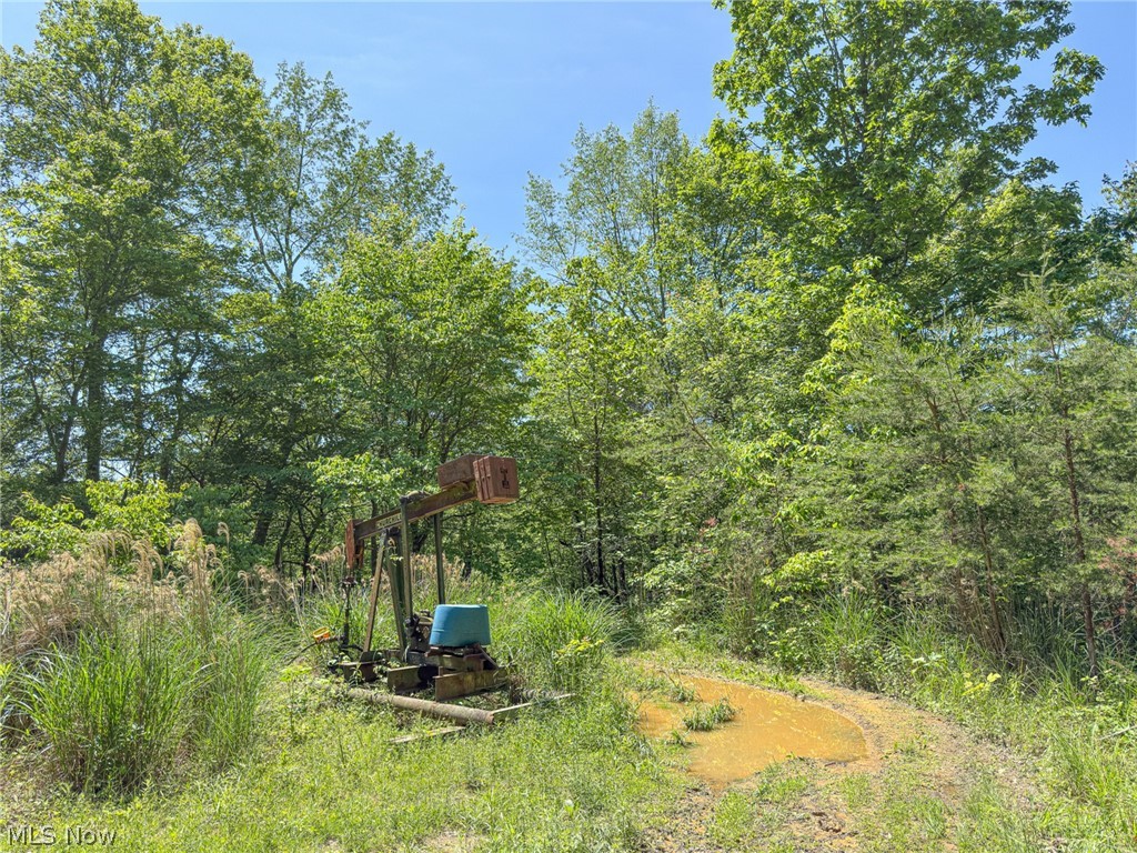 0 Twp Road Marietta, OH 45750 - Photo 24 of 50