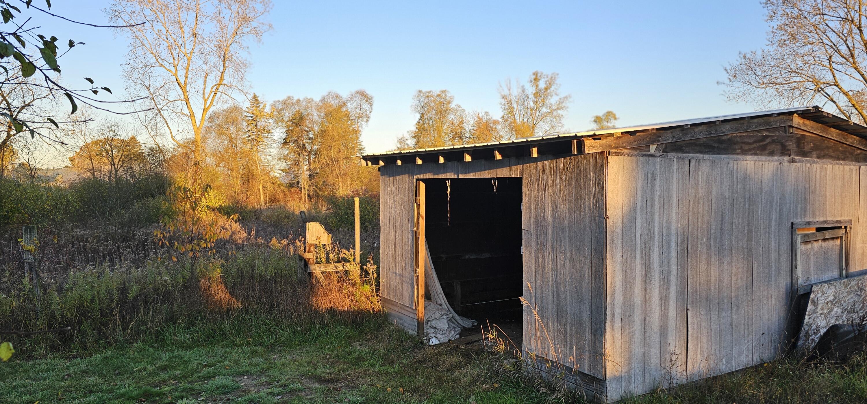 492 Belding Road Orleans, MI 48865 - Photo 9 of 23 1000013718