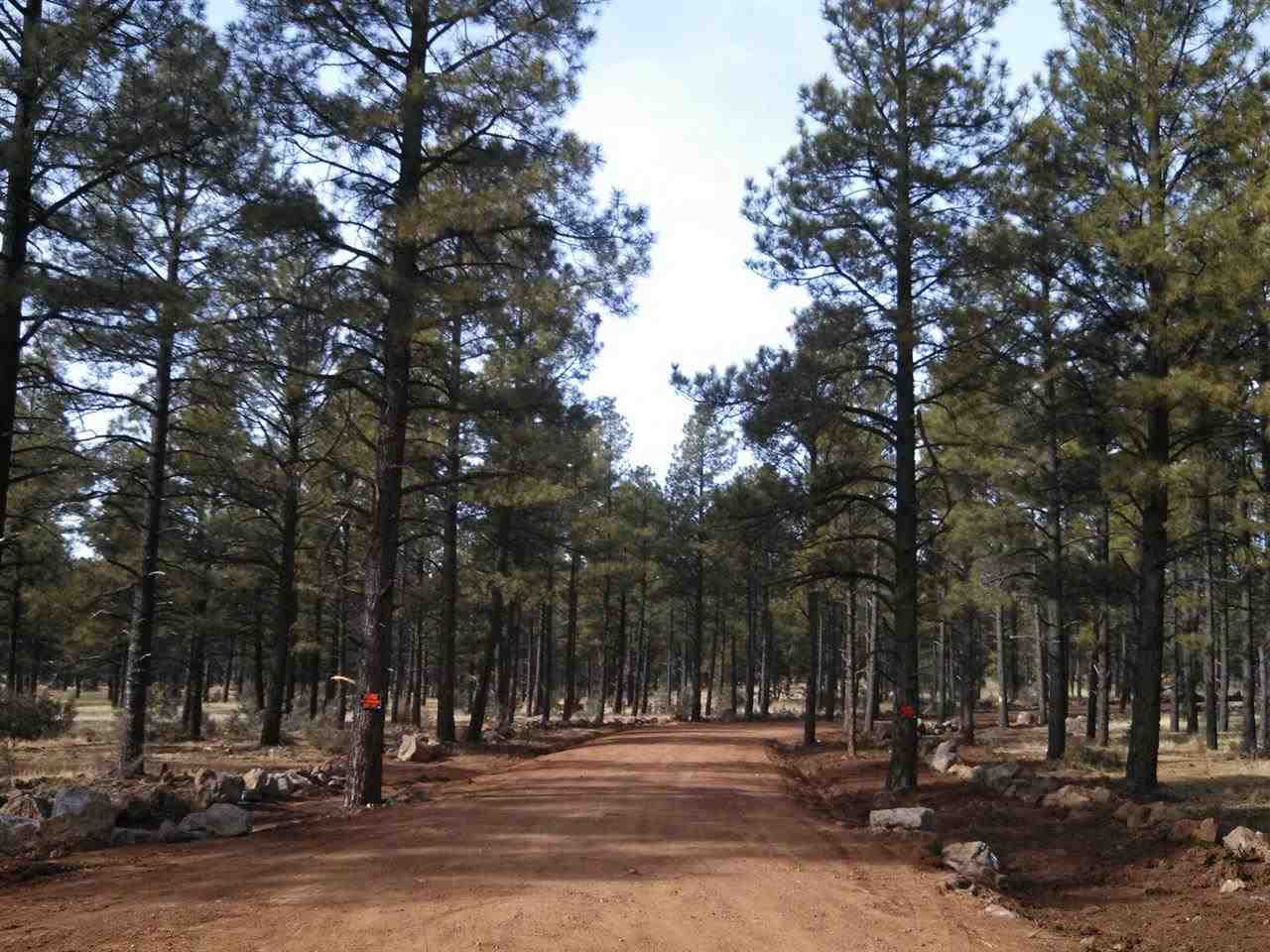 Tbd-1 Tbd-1 Porter Mountain Road Pinetop, AZ 85935 - Photo 16 of 21
