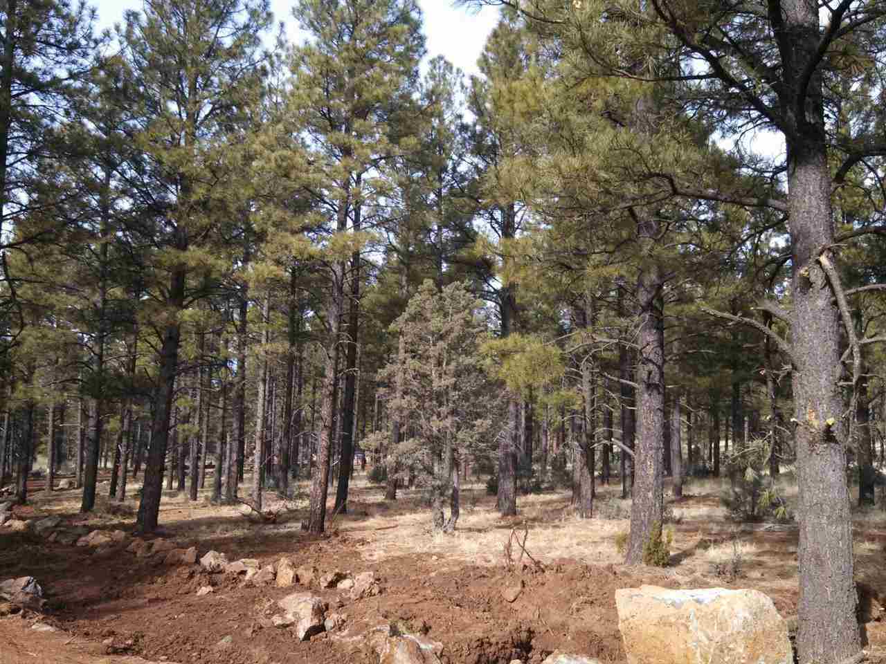 Tbd-1 Tbd-1 Porter Mountain Road Pinetop, AZ 85935 - Photo 17 of 21