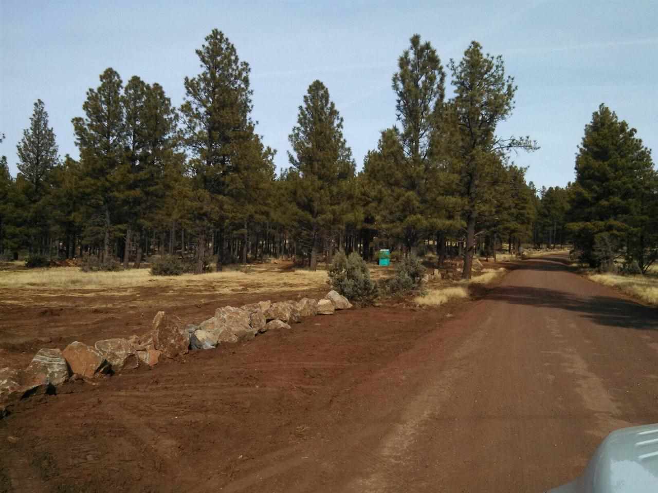 Tbd-1 Tbd-1 Porter Mountain Road Pinetop, AZ 85935 - Photo 8 of 21