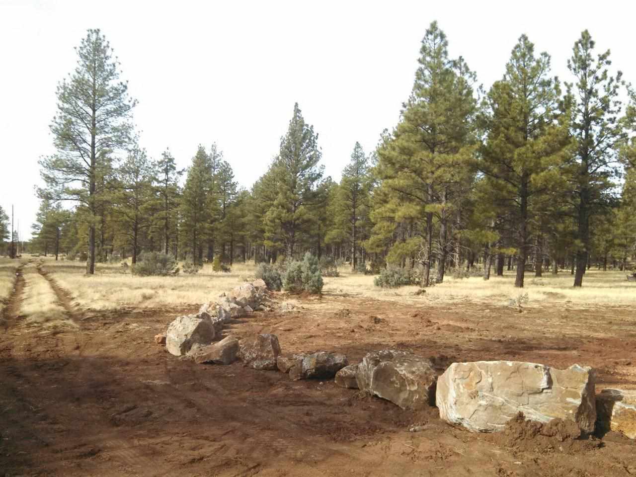 Tbd-1 Tbd-1 Porter Mountain Road Pinetop, AZ 85935 - Photo 10 of 21