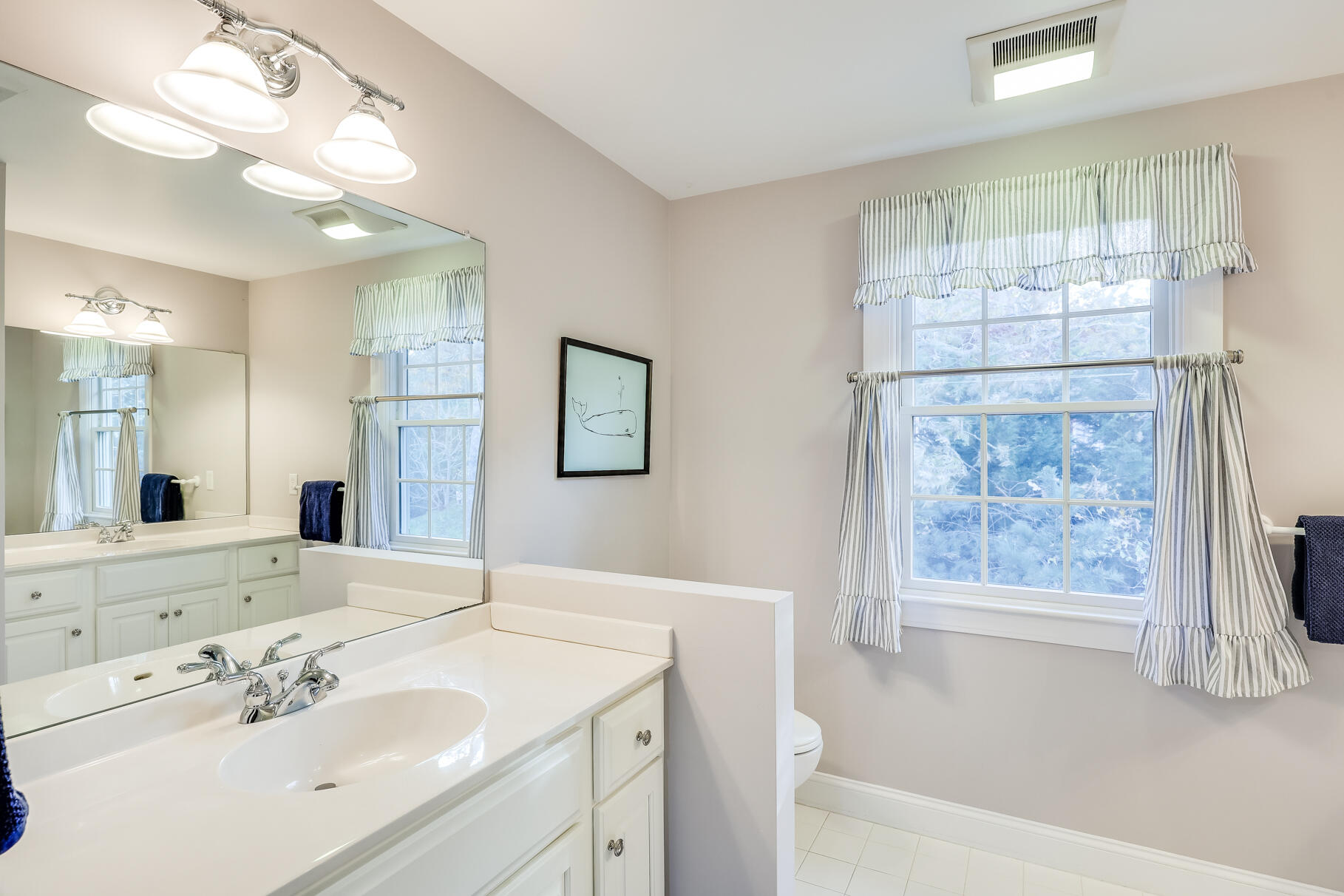 9 Ridgewood Road Orleans, MA 02653 - Photo 60 of 81 a bathroom with a sink mirror and a bath tub