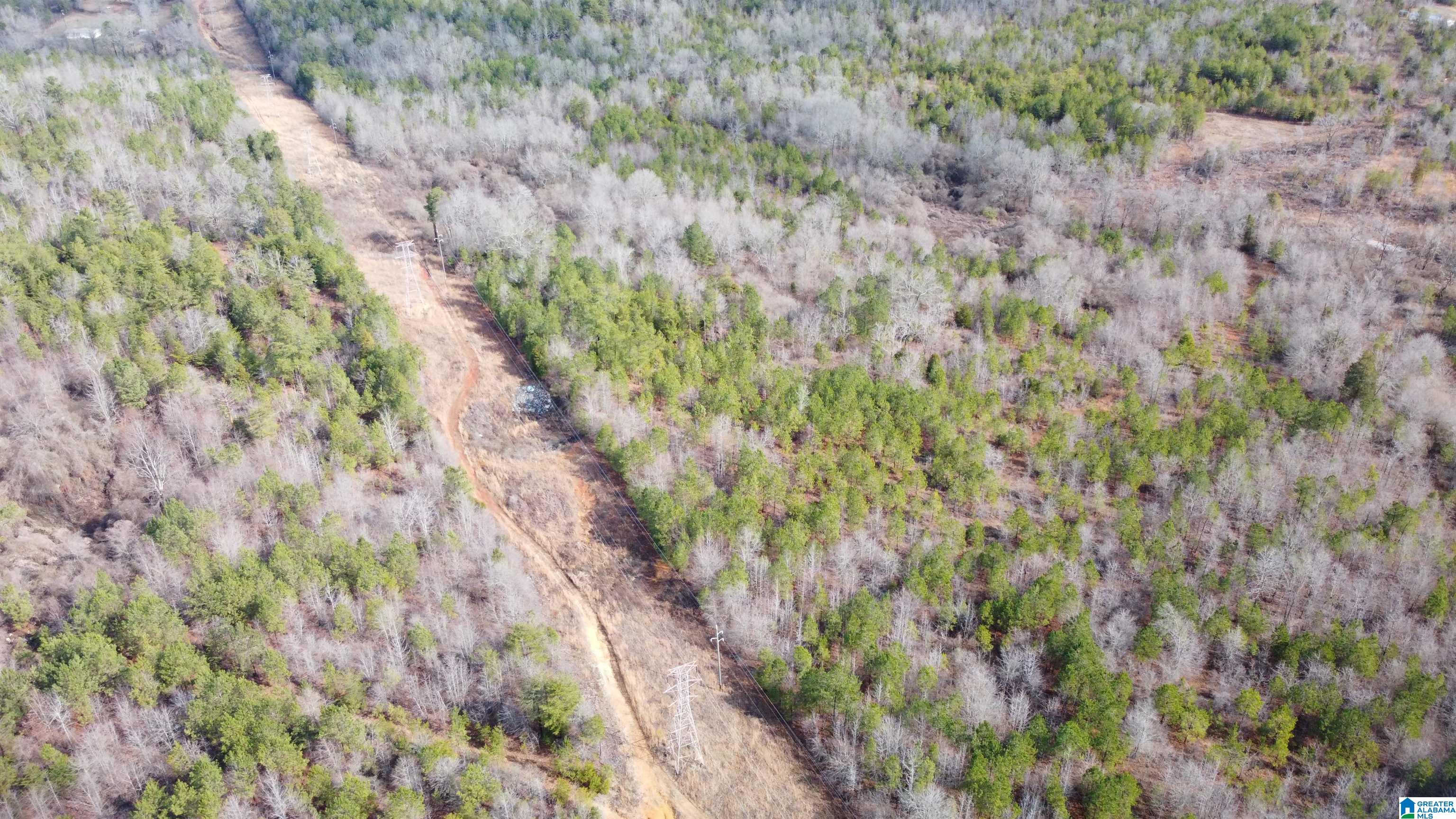 0 Landmark Road Talladega, AL 35160 - Photo 1 of 3 Gallery Image 1