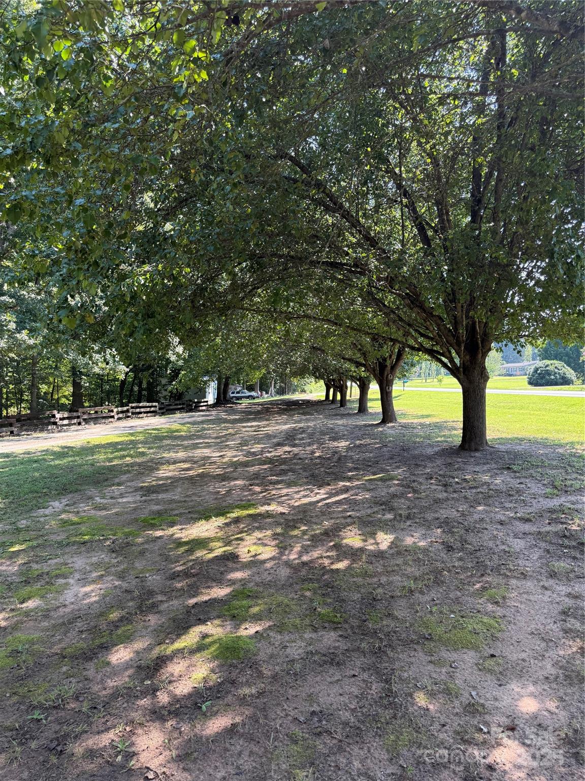 115 Nathaniel Lane Kannapolis, NC 28081 - Photo 18 of 19 a view of yard with tree