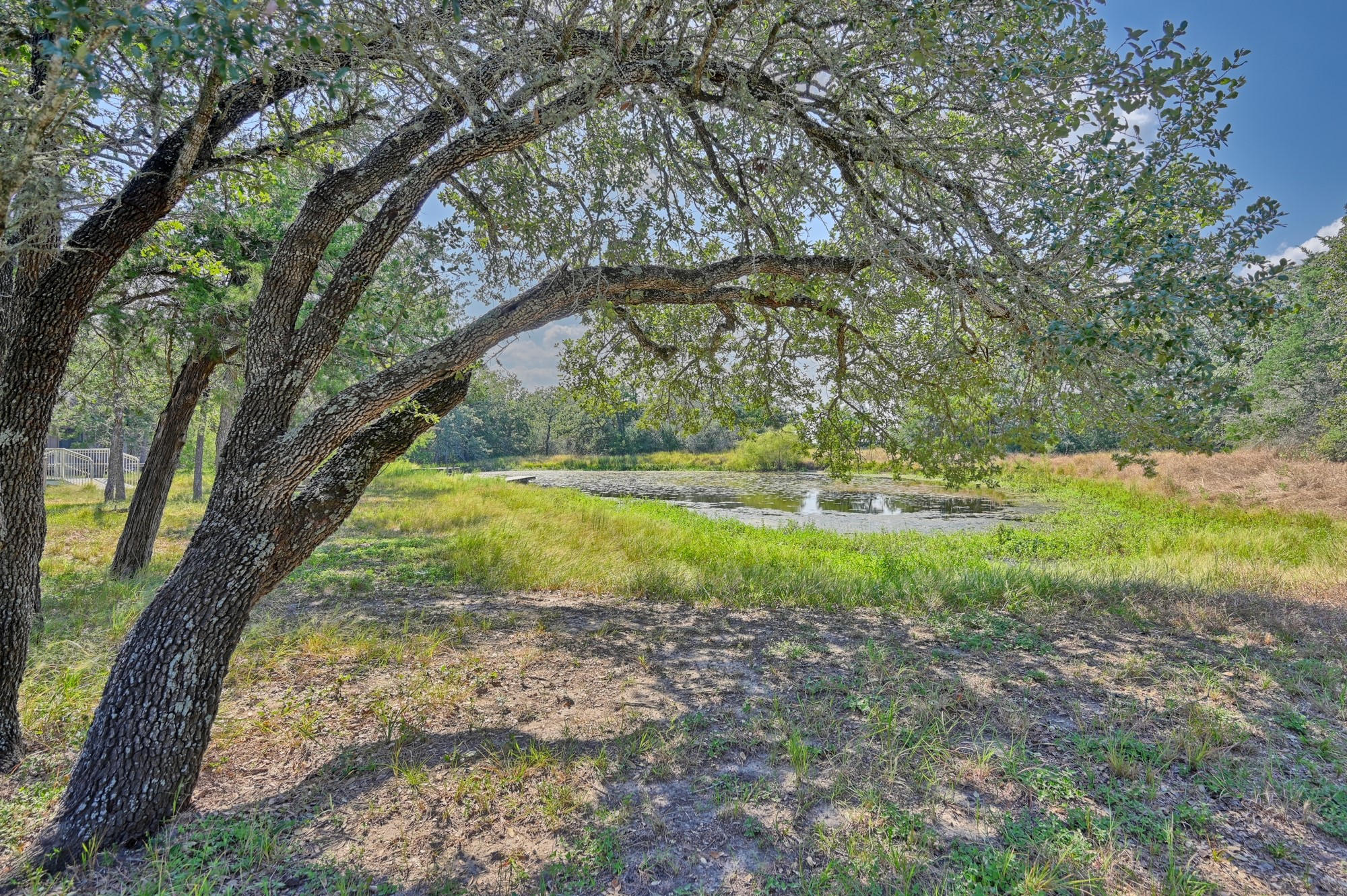 3685 Nixon Lake Road Carmine, TX 78932 - Photo 27 of 32 POND VIEW