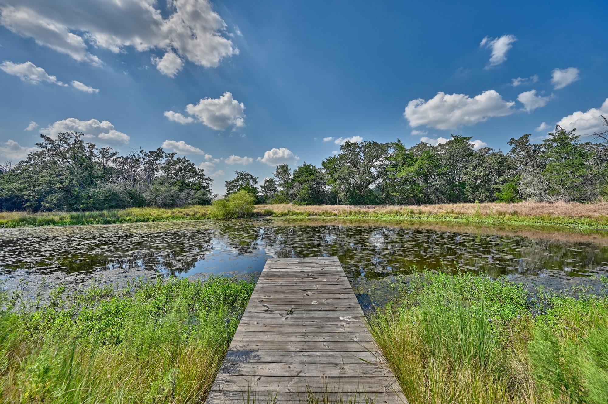 3685 Nixon Lake Road Carmine, TX 78932 - Photo 28 of 32 PIER & POND