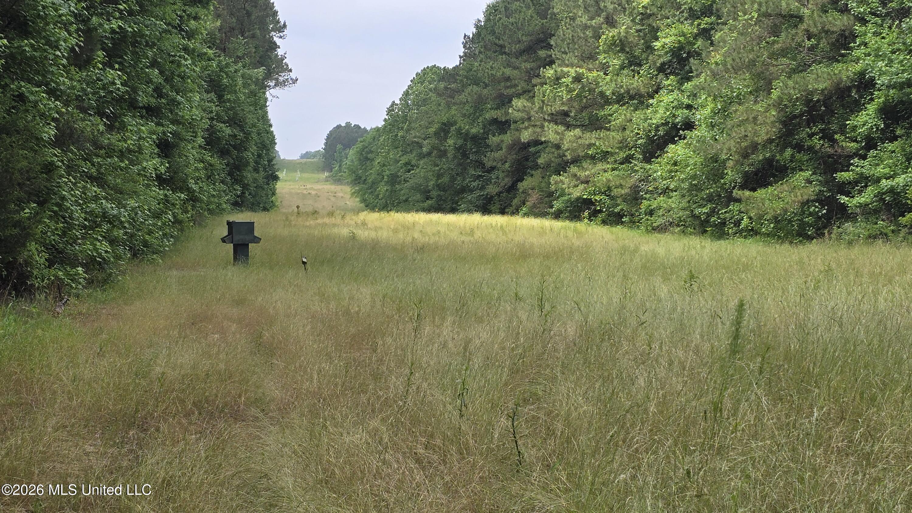 189 Co Road Bay Springs, MS 39422 - Photo 21 of 61 20260513_104559