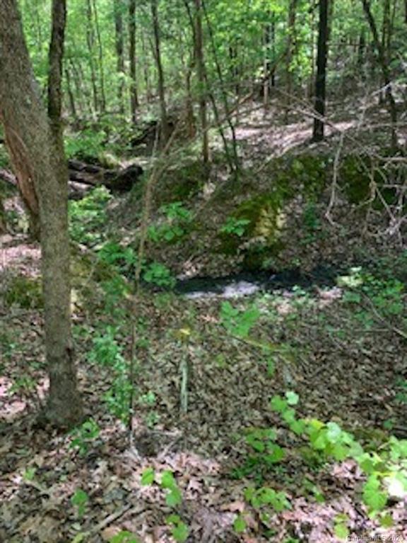 Lot 3 Anderson Burgess Road Sharon, SC 29742 - Photo 14 of 18