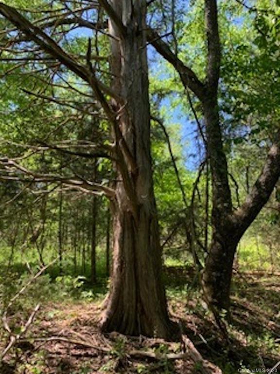 Lot 3 Anderson Burgess Road Sharon, SC 29742 - Photo 3 of 18