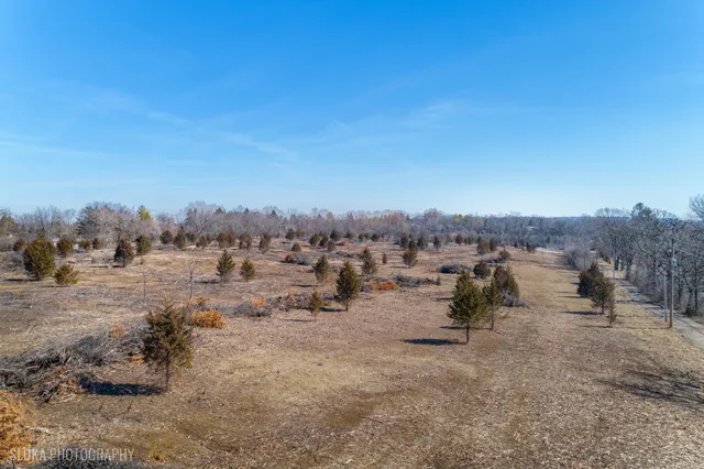a view of a town with big trees