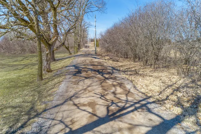a view of yard with trees