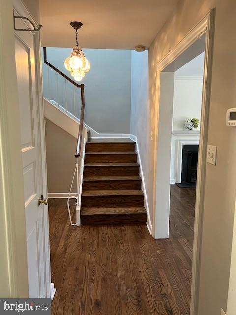 341 Conshohocken State Road, Unit B Gladwyne, PA 19035 - Photo 13 of 26 Gallery Image 13