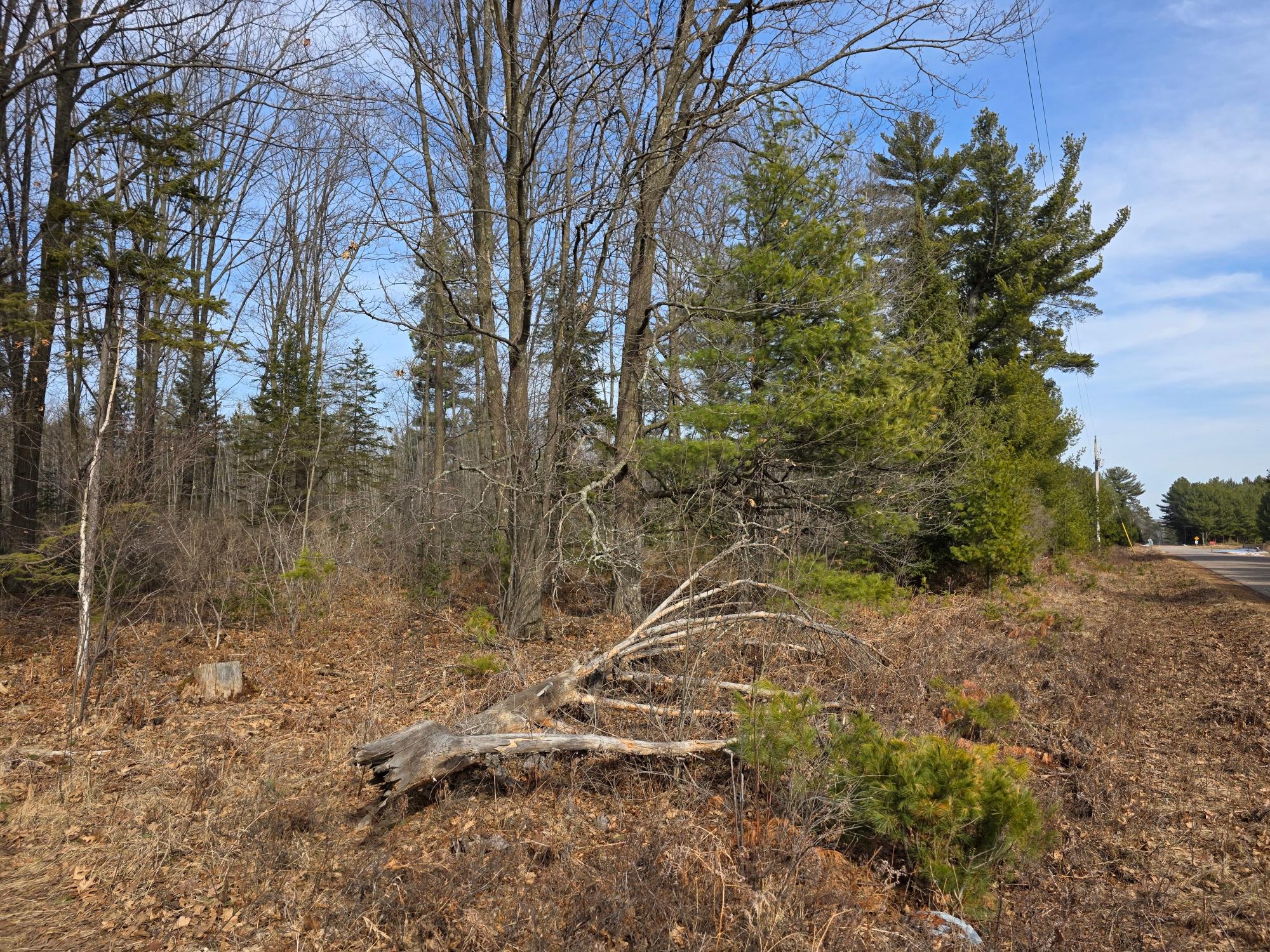 Off Herb Mitchell Road Tomahawk, WI 54487 - Photo 6 of 25 Gallery Image 6