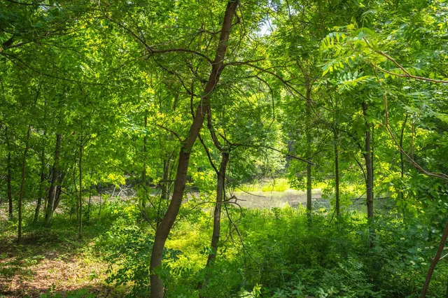 $629,900 | 289 192nd Street, Star Prairie, WI 54026