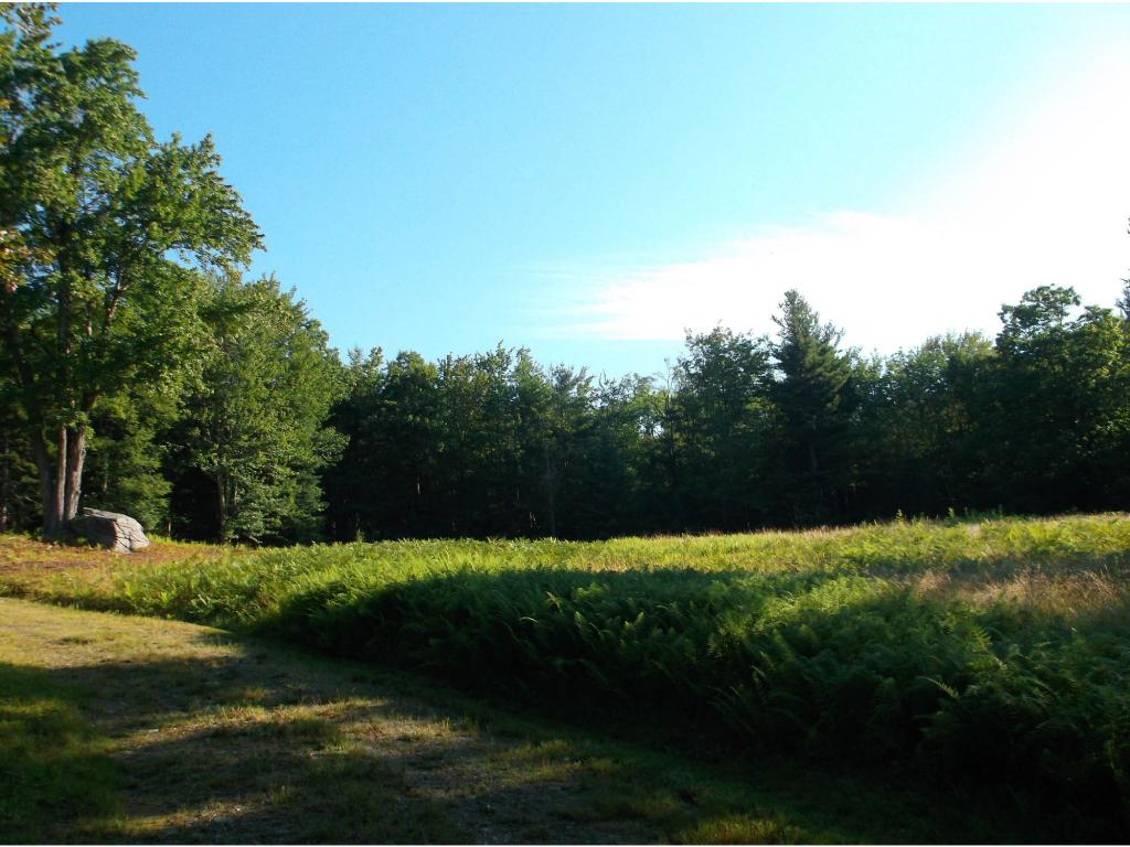 177 Whetstone Road Marlboro, VT 05301 - Photo 13 of 15