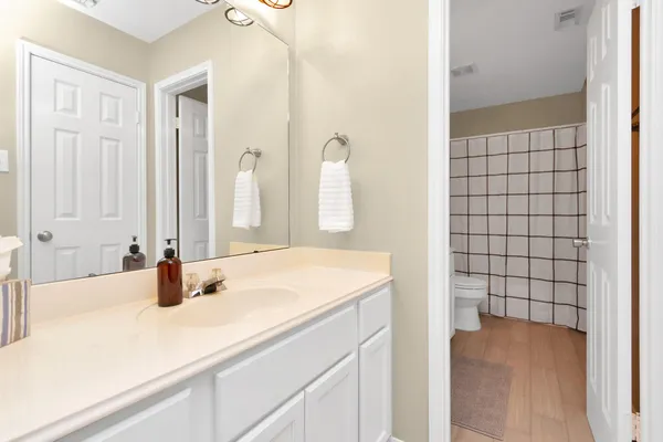 a bathroom with a sink a toilet and mirror