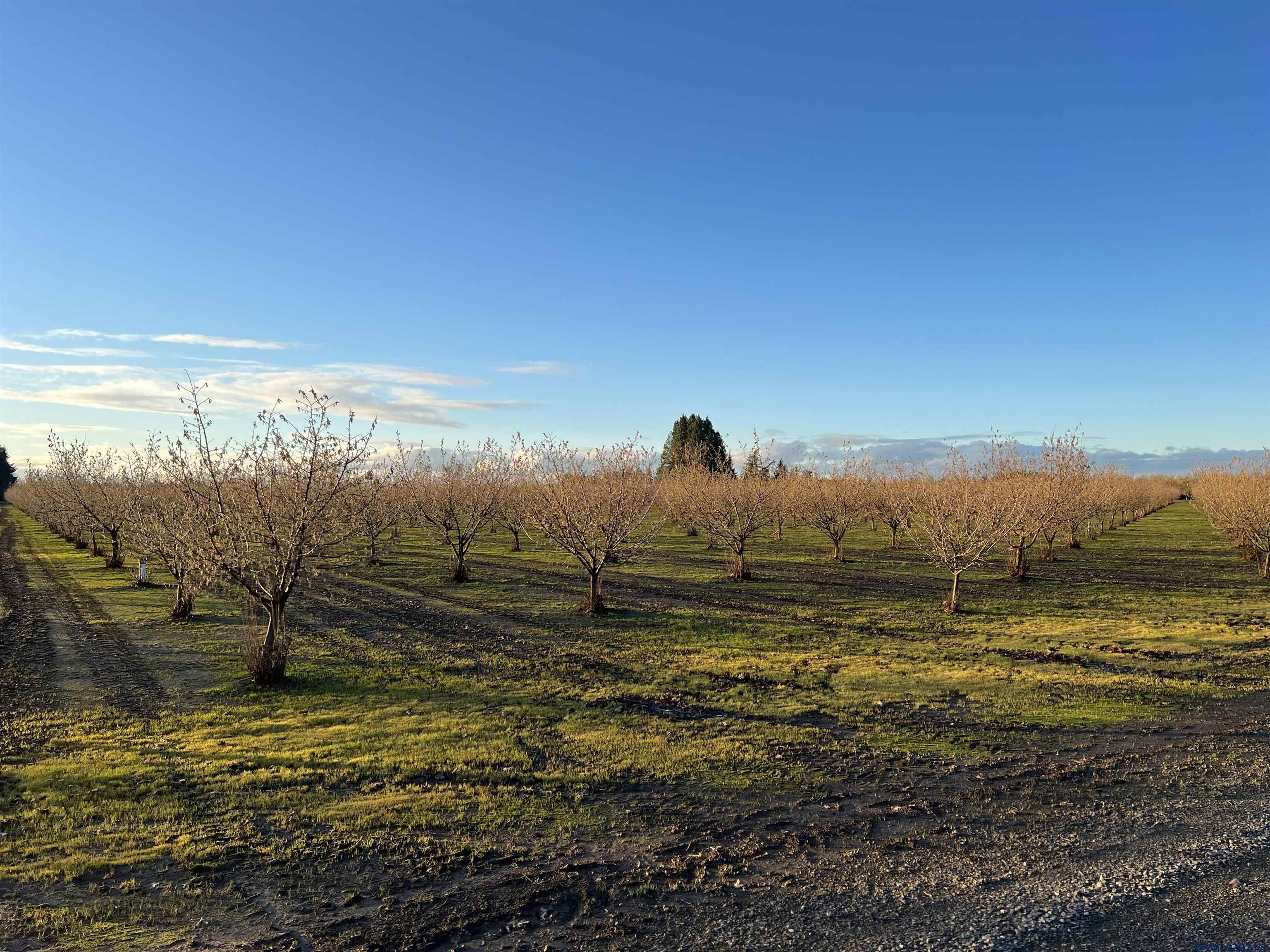 17383 Monnier Road Northeast Hubbard, OR 97032 - Photo 27 of 34