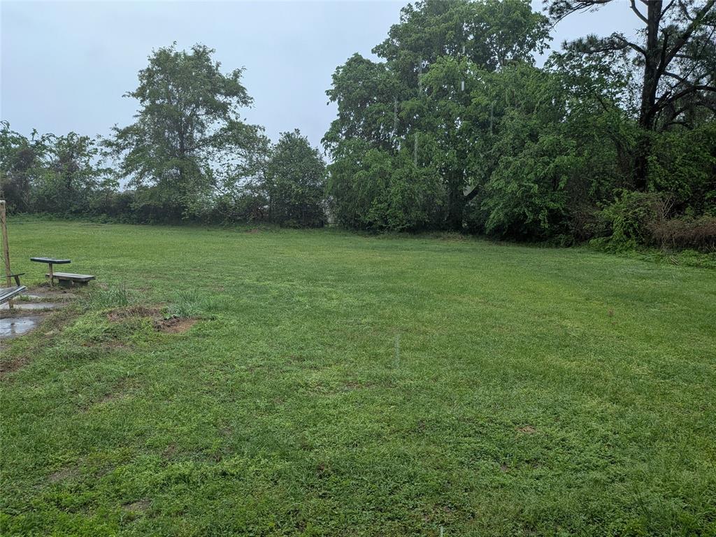 2009 County Road 4619 Athens, TX 75752 - Photo 35 of 36 a view of outdoor space with green field and trees all around