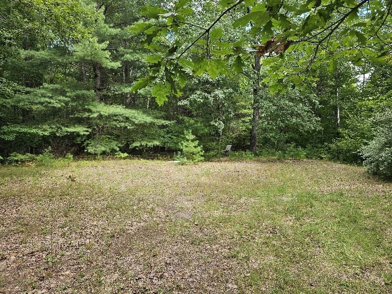 3900 North M 30 Road Gladwin, MI 48624 - Photo 3 of 8