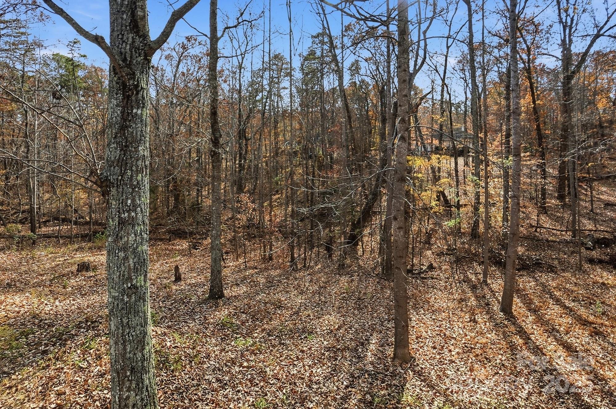 2012 Bethlehem Road Kings Mountain, NC 28086 - Photo 43 of 45 a view of a yard