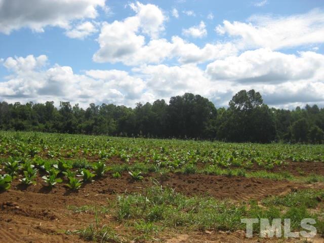 6672 Old Roxboro Road Oxford, NC 27565 - Photo 3 of 6 Gallery Image 3